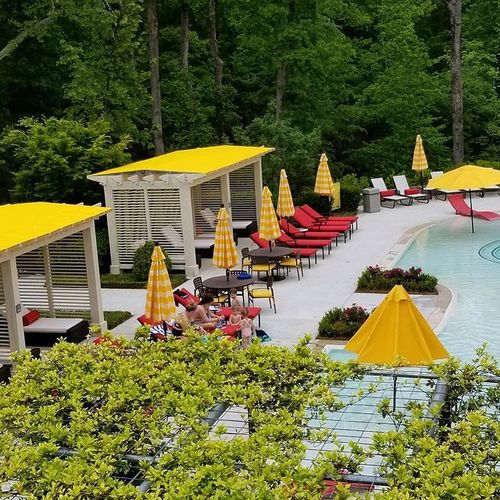 Several cabanas and umbrellas surround a pool in a forested area